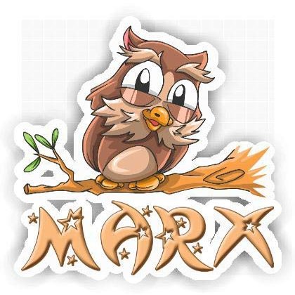 Marx Owl Sticker (Large, 14x9.8 inch)