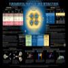 Collection of Five CPEP Modern Physics Posters (30" x 21") view 3