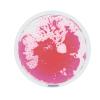 Excellerations Liquid Tile Circle view 1