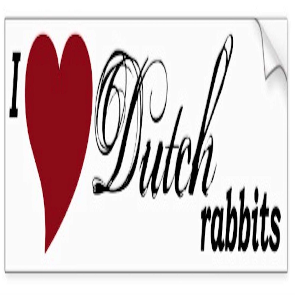 All Things Bunnies I Love Dutch Rabbits Bumper Sticker