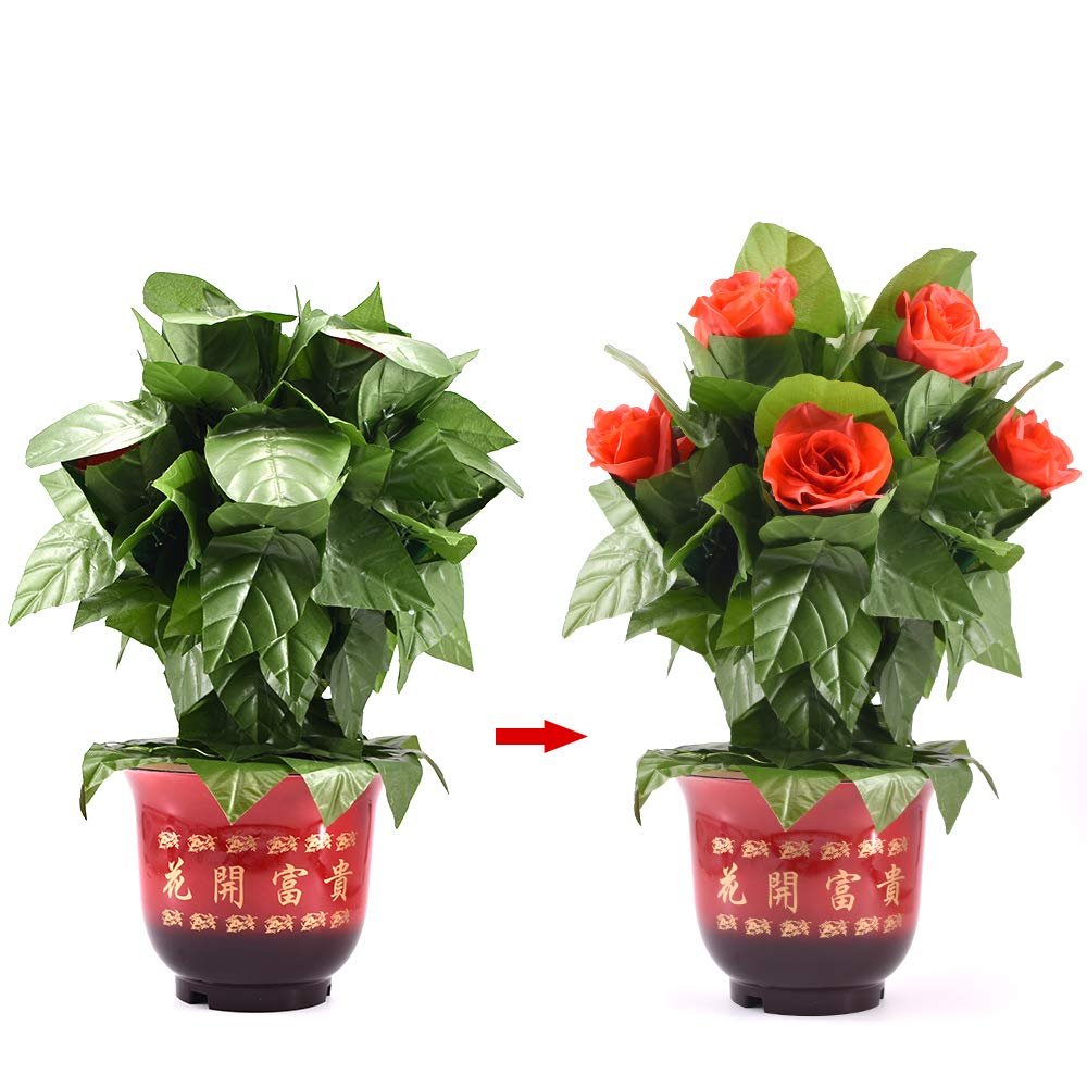 SUMAG Blooming Rose Bush - Remote Control (10 Flowers,Battery Version) Magic Tricks - Flower Appearing Magic Prop for Magician