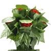 SUMAG Blooming Rose Bush - Remote Control (10 Flowers,Battery Version) Magic Tricks - Flower Appearing Magic Prop for Magician view 4