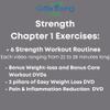 Grow Young Fitness Strength Exercise DVD for Seniors - Build Muscles and Burn Fat - Chapter One Senior Exercises DVD view 4