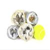 Two XL Whole Break Your Own Geodes Combo Pack - Mexican Trancas | Moroccan Quartz view 1