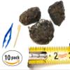 PelletPal Premium Barn Owl Pellets, Large (Pack of 10) - Free Bone ID Chart, 10 Forceps, 10 Paddle Picks, and Teaching Guide Included! view 2
