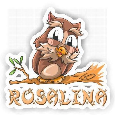 Rosalina Owl Sticker (Large, 14x9.8 inch)