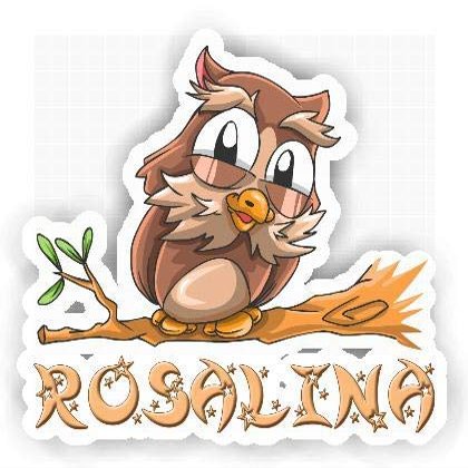 Rosalina Owl Sticker (Large, 14x9.8 inch)