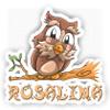 Rosalina Owl Sticker (Large, 14x9.8 inch) view 1