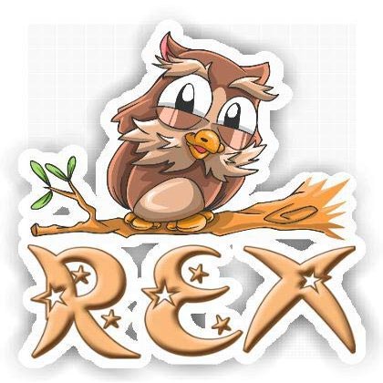 Rex Owl Sticker (Large, 14x9.8 inch)