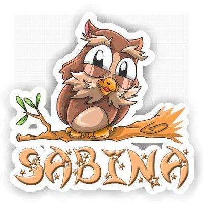 Sabina Owl Sticker (Large, 14x9.8 inch)