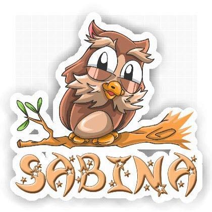 Sabina Owl Sticker (Large, 14x9.8 inch)