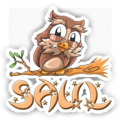 Saul Owl Sticker (Large, 14x9.8 inch)