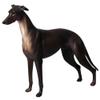 FLORMOON Animals Figure - Realistic Greyhound Dog Figurines - Early Educational Toys Science Project Christmas Birthday for Boys and Girls (Black) view 1