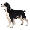 FLORMOON Animals Figure - Realistic Springer Spaniel Dog Figurines - Early Educational Toys Science Project Christmas Birthday for Boys and Girls view 1