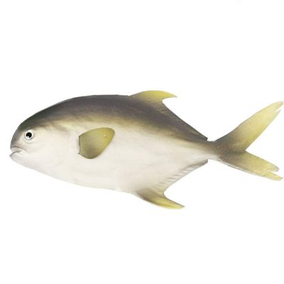 Bo Lala PU Simulation Model Fish for Hotel Restaurant 2 Pieces (Grey Pomfret)