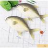 Bo Lala PU Simulation Model Fish for Hotel Restaurant 2 Pieces (Grey Pomfret) view 2