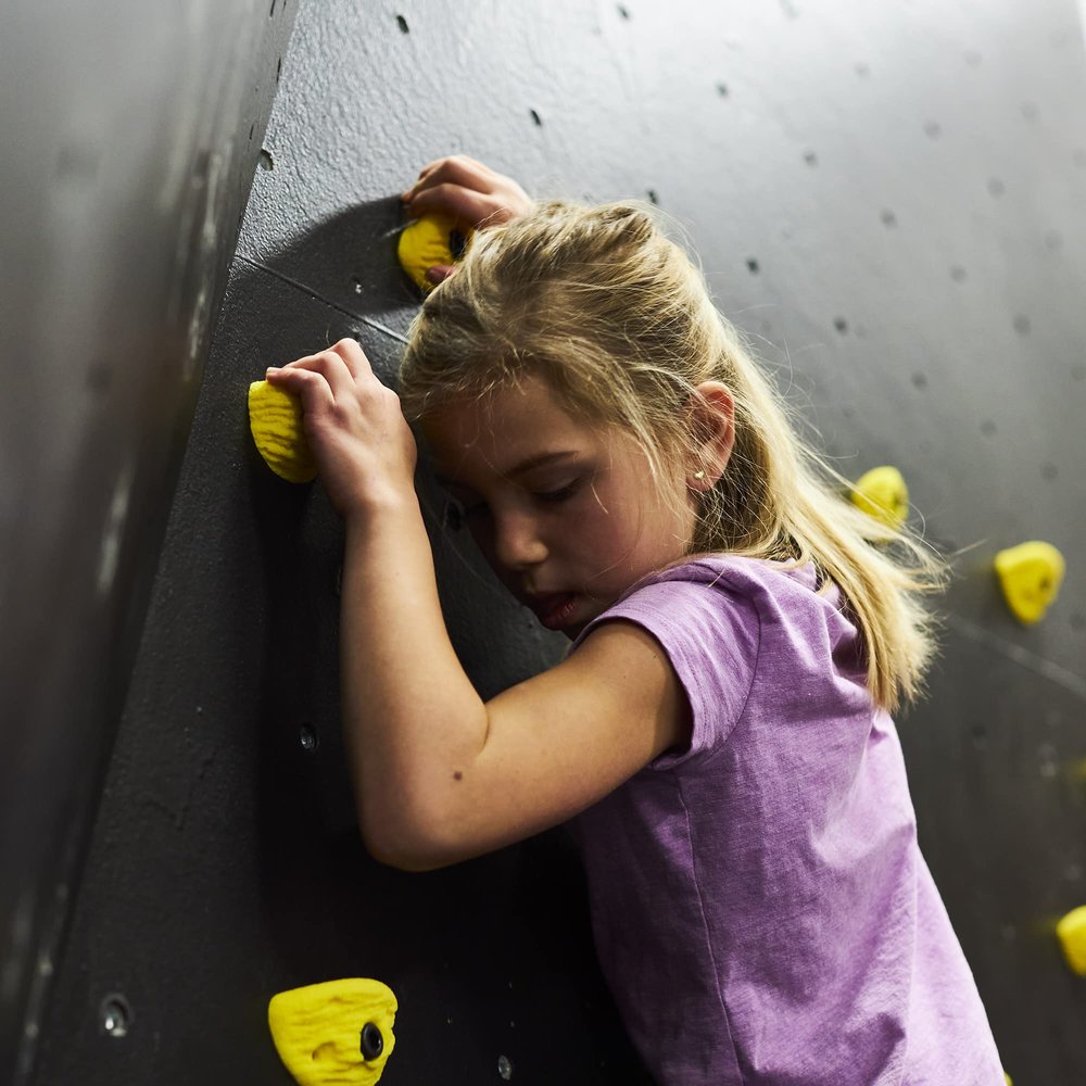 Escape Climbing Kids' 21-Hold Starter Pack (Variety (Pink, Green, Blue, Yellow))