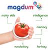 magdum Vegetables Magnets Real Photo Children's for Children - Large Fridge Magnets - Educational Toys Baby 3 Years Old - Magnets Magnetic Board for Learning - Magnet Theater for Kids view 4