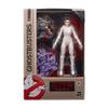 Ghostbusters Plasma Series Gozer Toy 6-Inch-Scale Collectible Classic 1984 Action Figure, Toys for Kids Ages 4 and Up (E97985X0) view 2