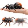 Liberty Imports RC Moving Tarantula Spider - Kids Wireless Remote Control Toy, Great for Pranks and Halloween Decorations, Realistic Scurrying Movement, Glowing LED Eyes view 3