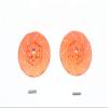 GPM For Traxxas 1/10 Maxx 4WD Monster Truck Upgrade Parts Aluminum +2mm Hex Brake Disk - 2Pc Set Orange view 1
