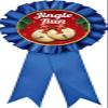 Jingle Run Prizes, Blue Christmas Jingle Run Award Ribbon Prizes, 10 Pack Prime view 1