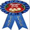 Jingle Run Prizes, 1st Place Christmas Jingle Run Award Ribbon Prizes, 10 Pack Prime view 1