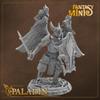 Fantasy Minis - FM10 - Paladin 28mm view 1