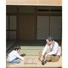 Hanayama Full-Scale Shogi view 4
