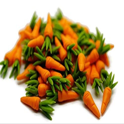 1shopforyou 20 pcs Loose Carrot Vegetable Miniatures for Home Decoration or Crafting Miniatures Food Kitchen. No.24