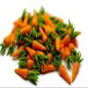 1shopforyou 20 pcs Loose Carrot Vegetable Miniatures for Home Decoration or Crafting Miniatures Food Kitchen. No.24 view 1