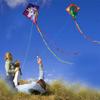 [2 Pack] Diamond Kites Dinasour+Unicorn Eddy Kite for Children, Wonderful Beginner Kites for 3 Years up, 60x70cm with 2x300cm Long Tails, Kite Handle, 60m String and Swivel incloud view 3