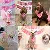 ADOGGYGO Dog Birthday Hat Bandana Girl - Pet Birthday Party Supplies - Pink Dog Tutu Hat Scarf Banner Set for Medium Large Dogs (Large) view 2