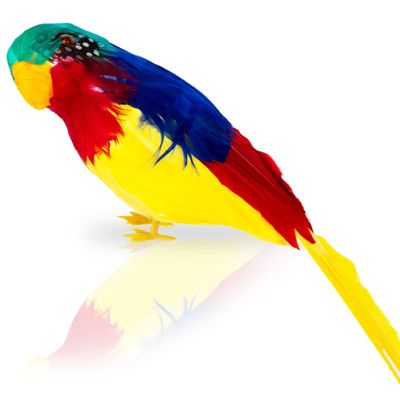 ArtCreativity Realistic Parrot 11 Inch, Artificial Birds for Home Decoration, Parrot for Pirate Costume, Feathered Parrot Fake Birds Pirate Accessories on Shoulder for Adult, Kids, Boys and Girls