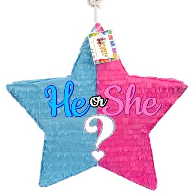 Star Shaped Party Pinata for Gender Reveal He or She? Boy or Girl Pink & Blue Color