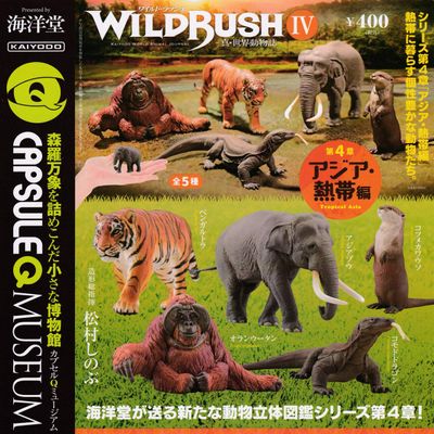 Capsule Q Museum WILD RUSH True World Animal Magazine IV Chapter 4 Asian Tropical Edition [Complete Set of 5 Types]