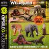 Capsule Q Museum WILD RUSH True World Animal Magazine IV Chapter 4 Asian Tropical Edition [Complete Set of 5 Types] view 1