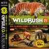 Capsule Q Museum WILD RUSH True World Animal Magazine IV Chapter 4 Asian Tropical Edition [Complete Set of 5 Types] view 2