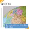 Raymei Fujii Globe Administrative Type Assembly Type 9.8 inches (25 cm) OYV24 view 4