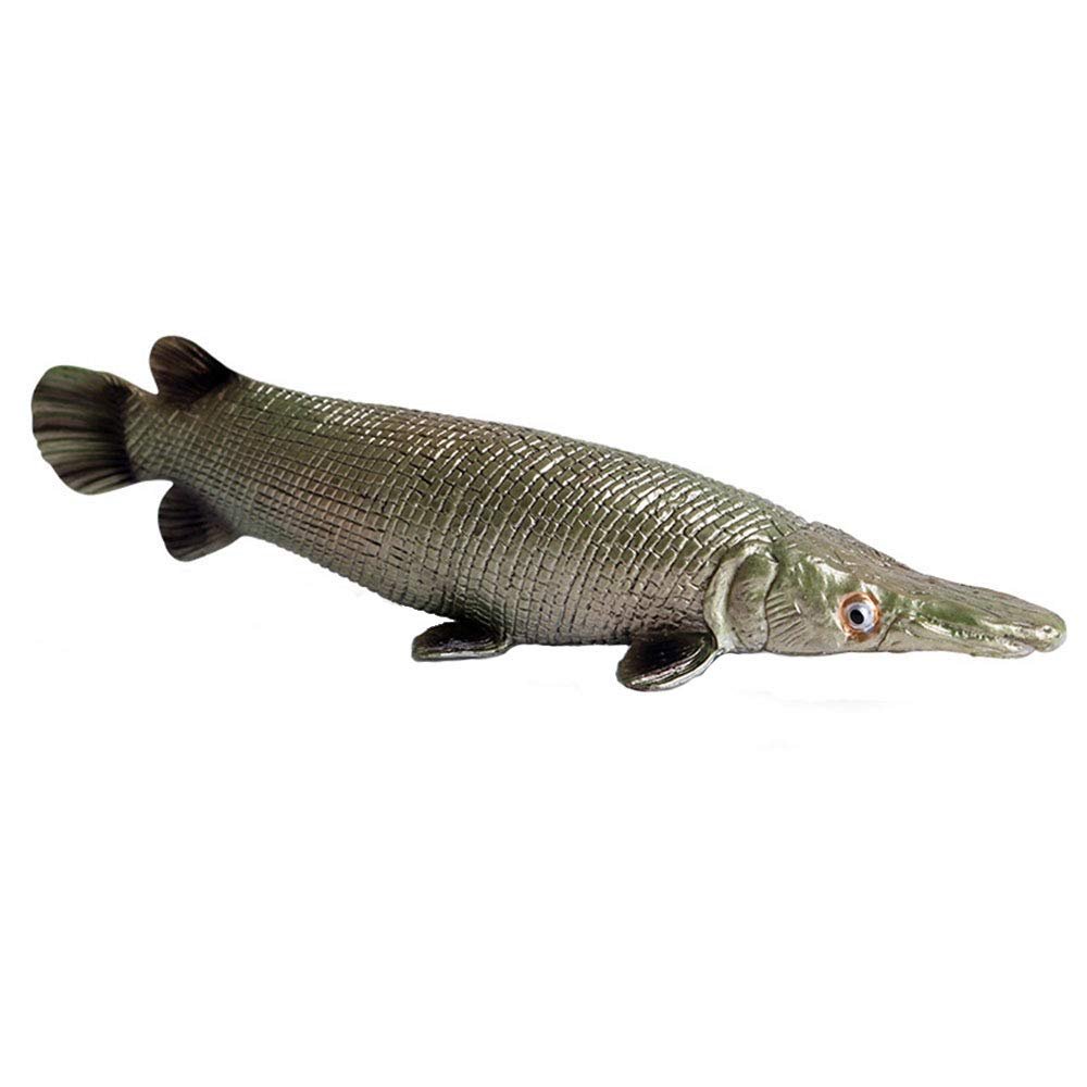 FLORMOON Alligator Gar Figure Realistic Animal Figurines Early Educational Sea Animal Toys Science Project Christmas Birthday Cake Topper for Kids Toddler