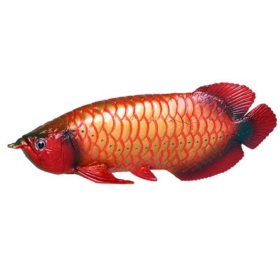 FLORMOON Arowana Figure Realistic Animal Figurines Early Educational Sea Animal Toys Science Project Christmas Birthday Cake Topper for Kids Toddler (Red)