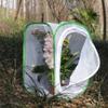 RESTCLOUD Insect and Butterfly Habitat Cage Terrarium Pop-up 24 Inches Tall with Zipper Protection view 3