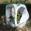 RESTCLOUD Insect and Butterfly Habitat Cage Terrarium Pop-up 24 Inches Tall with Zipper Protection view 4