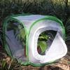 RESTCLOUD Insect and Butterfly Habitat Cage Terrarium Pop-up 12 X 12 X 12 Inches with Zipper Protection view 3
