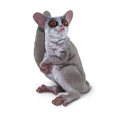 Safari Ltd. Bush Baby (Galagos) Figurine - Detailed 3.5" Plastic Model Figure - Fun Educational African Wildlife Play Toy for Boys, Girls & Kids Ages 3+