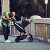 Thule Spring Stroller, Grey Melange view 4