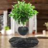 ZHHID Floating Bonsai Pot - Magnetic Suspension Levitating Air Flower Pots - Creative Design Levitation Bonsai - Home Office Decorations - Fun Gift view 1