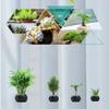 ZHHID Floating Bonsai Pot - Magnetic Suspension Levitating Air Flower Pots - Creative Design Levitation Bonsai - Home Office Decorations - Fun Gift view 4