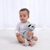 Apricot Lamb Toys Plush Gray Raccoon Stuffed Animal Soft Cuddly Perfect for Child Gray Raccoon, 9 Inches view 3