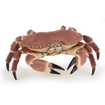 Papo - Sleeping Crab Figurine - Ocean Animal Toy for Kids Age 3+ - Hand-Painted Marine Invertebrate Model - Realistic Edible Crab Replica - Educational and Durable - 8 x 7.5 x 2.5 cm - 56047